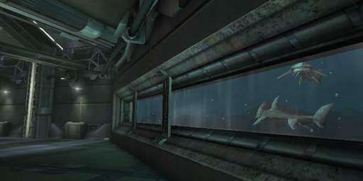 DM-Oceanic